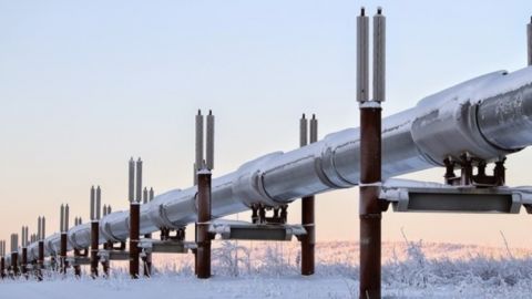 Эксперт оценил требование Болгарии скидки на газ: все хотят заработать
