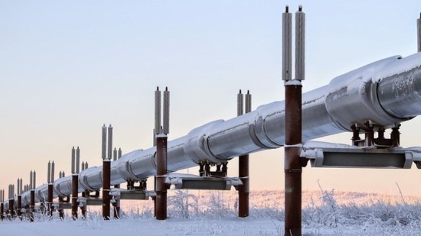 Эксперт оценил требование Болгарии скидки на газ: все хотят заработать