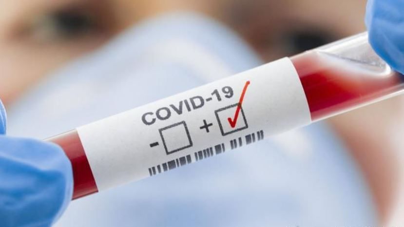 2517 новых случаев заражения коронавирусом в Болгарии