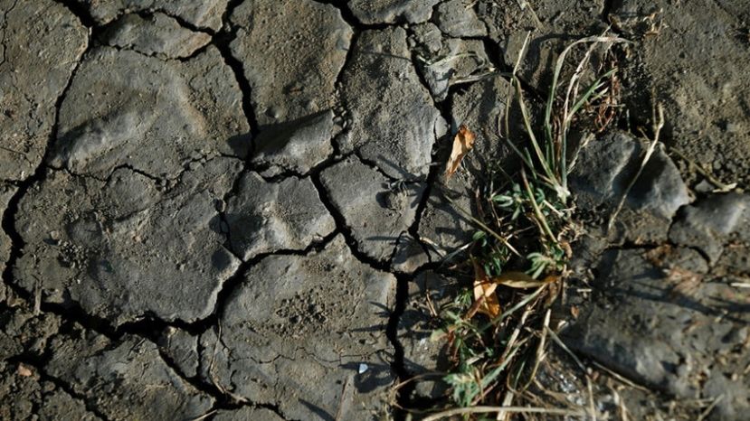 Световната банка предупреждава България да вземе мерки за адаптиране към климатичните промени