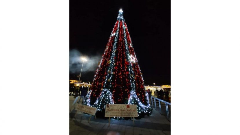 Посольство России в Болгарии подарило городу Плевен рождественскую ель