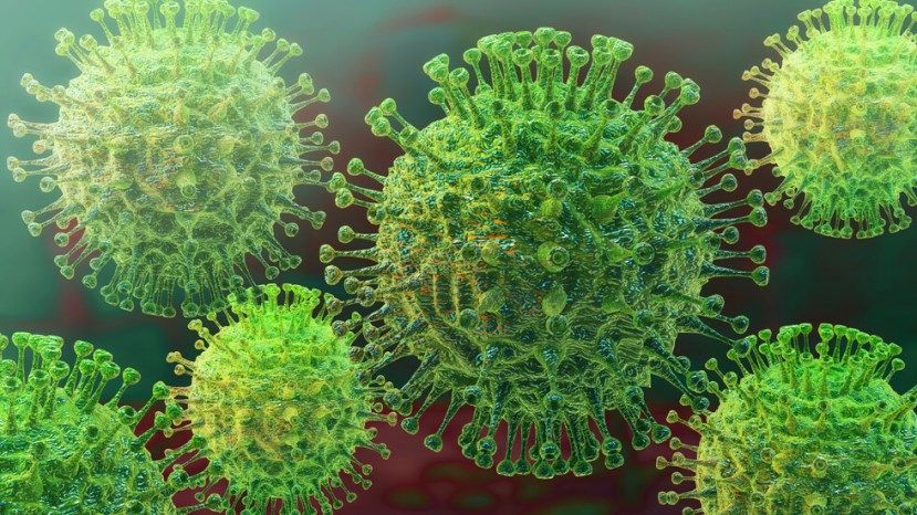 44 нови случая на коронавирус в страната, шест са починалите за денонощието