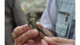 Болгарские археологи нашли бронзовую статуэтку Аполлона