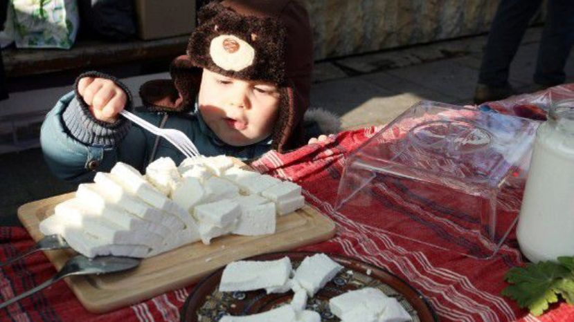 Из-за российского эмбарго страдают болгарские молокозаводы
