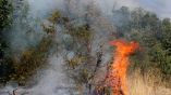 Администрация Свиленграда объявила чрезвычайное положение из-за серьезного пожара в горах Сакар.