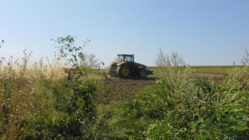 В Болгарии за 10 лет исчезло более 60% фермерских хозяйств