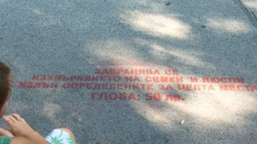 В Пловдив е въведена глоба за люпене на семки в парка
