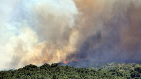 В Южной Болгарии вторые сутки бушует пожар