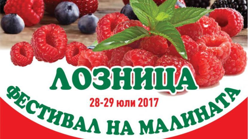 Фестиваль малины в Лознице