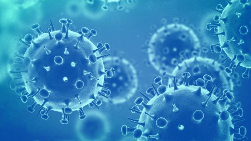 914 новых случаев заражения коронавирусом в Болгарии