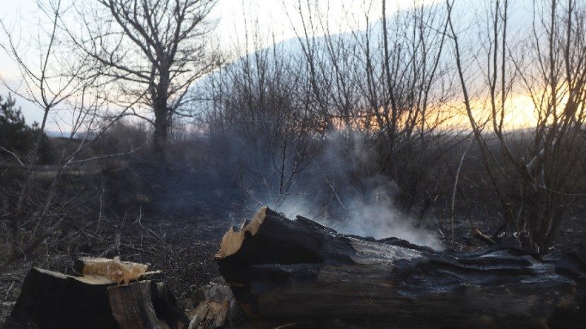 Более 80 % территории Драгоманского болота пострадали от пожара