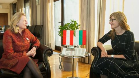 Австрия подкрепи България за ОИСР и Шенген