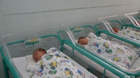 Болгария на первых местах ЕС по количеству внебрачных детей