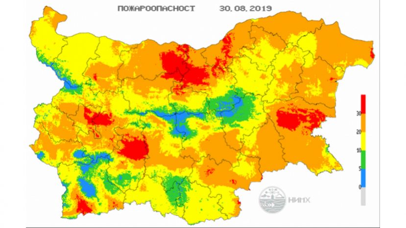 ТАСС: В Болгарии из-за жаркой погоды начались лесные пожары
