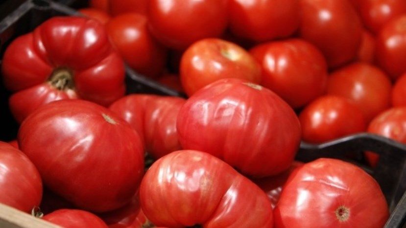 В Болгарии растут цены на тепличные помидоры и огурцы