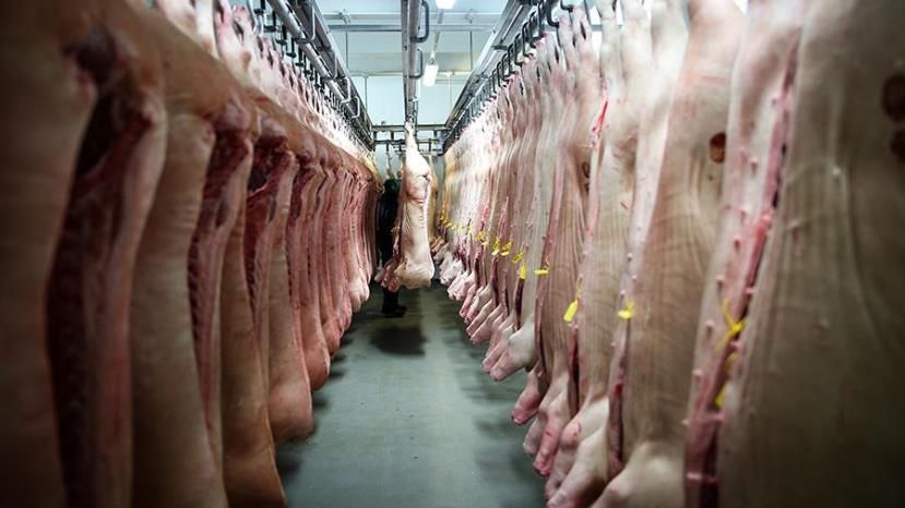 Россельхознадзор ограничил поставки свинины из Болгарии