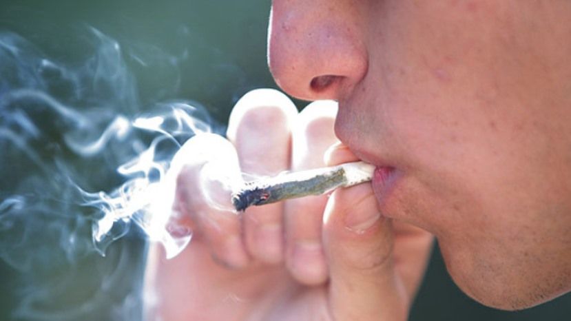 Курят в болгарии марихуану конопля при гв