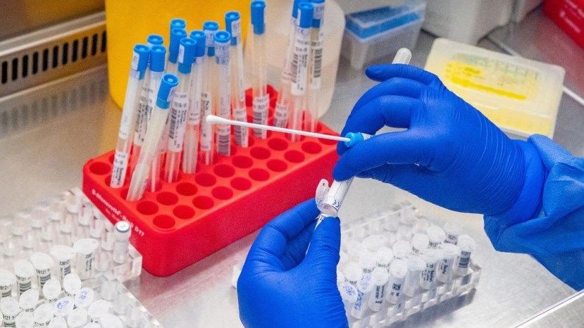 310 новых случаев заражения коронавирусом в Болгарии