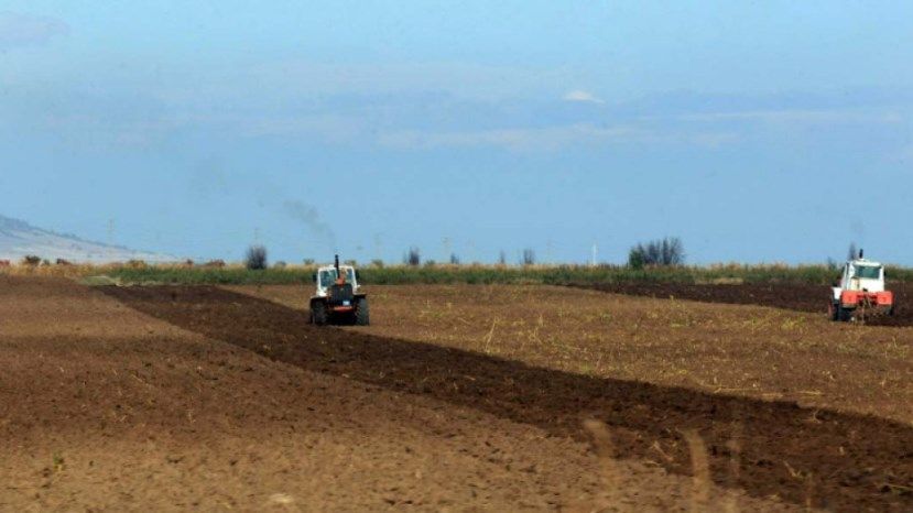 В 2018 году стоимость сельскохозяйственных земель в Болгарии выросла на 8%