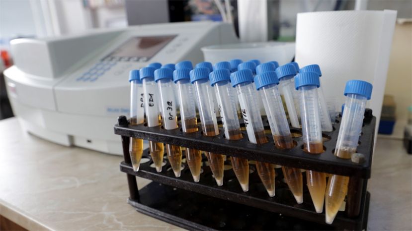 Ученые из Болгарской академии наук разрабатывают универсальную вакцину от всех типов вируса гриппа