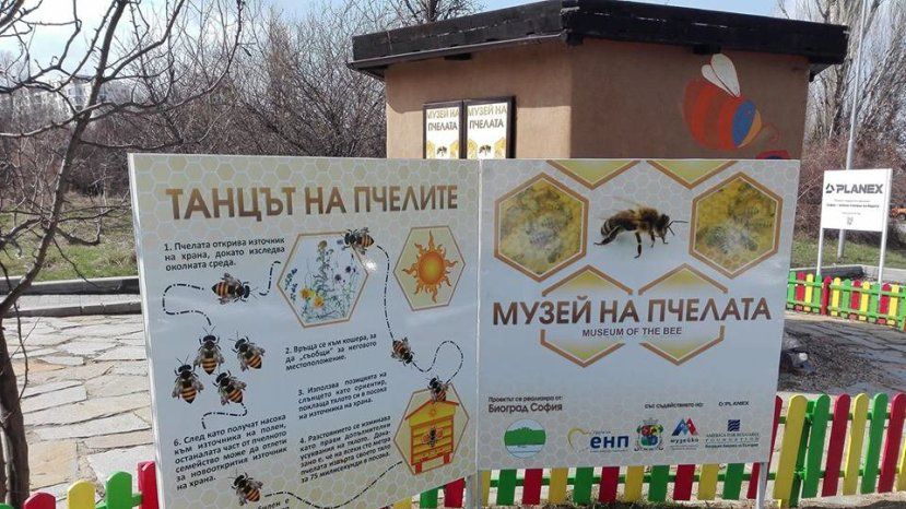 В Софии открывается Музей пчелы