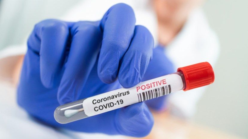 1595 новых случаев заражения коронавирусом в Болгарии