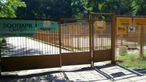 В зоопарке Пловдива появится розовый фламинго