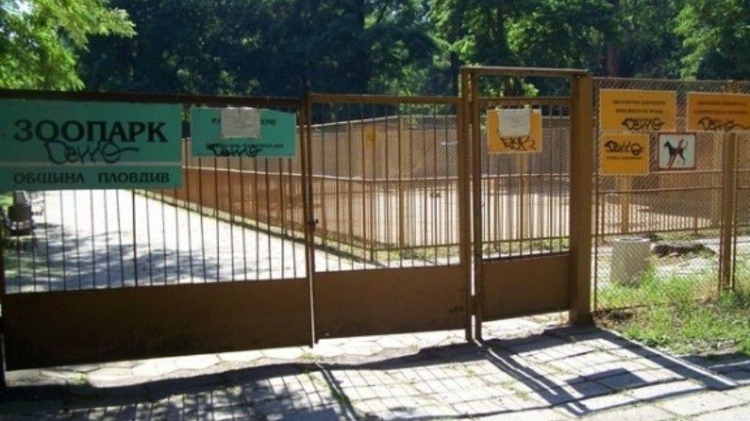 В зоопарке Пловдива появится розовый фламинго