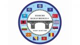 Започва най-голямото за годината многонационално компютърно-подпомагано командно-щабно учение „Balkan Bridges - 2019“