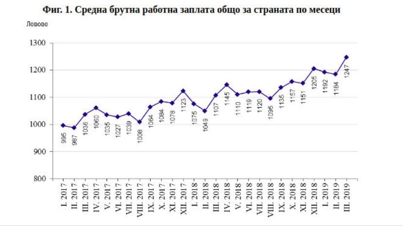За год средняя зарплата в Болгарии выросла на 12%