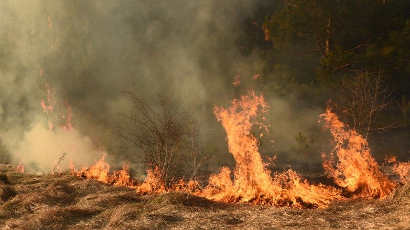 При пожаре вблизи Святого Власа сгорела беседка и 10 000 кв.м. сухой травы