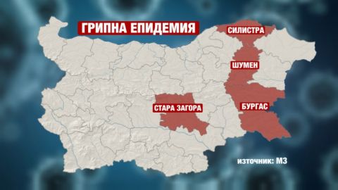В 4 областях Болгарии объявлена эпидемия гриппа