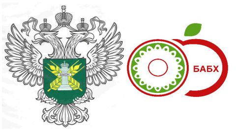 Россельхознадзор и БАБХ договорились выстроить систему проверки подлинности сертификатов