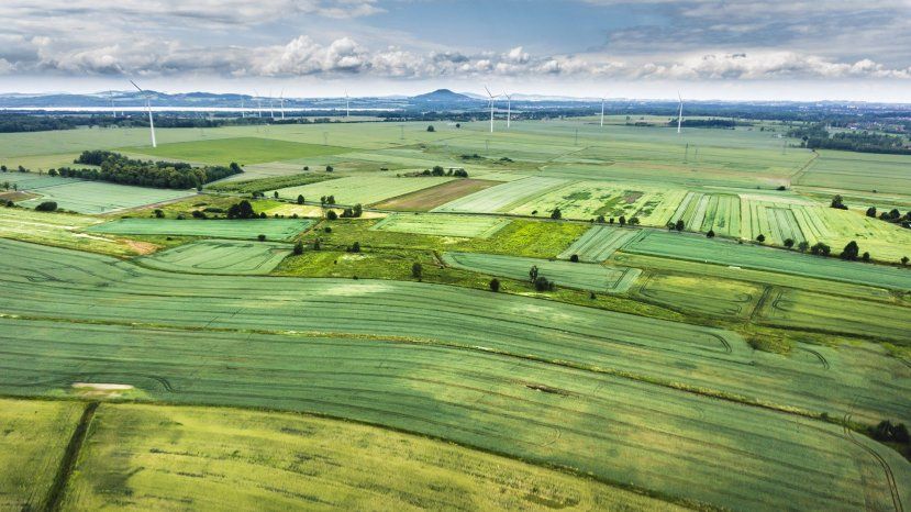 В Болгарии 4% фермеров обрабатывает 80% земель сельхозназначения