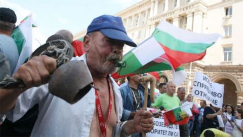 Отложиха евтаназията на стадата в Странджа
