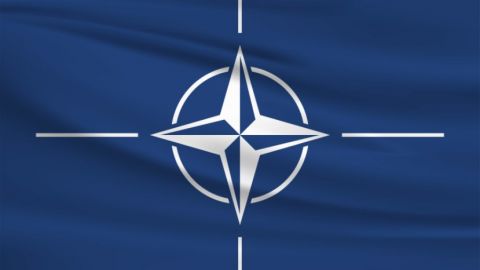ТАСС: Правительство Болгарии одобрило присоединение Финляндии и Швеции к НАТО