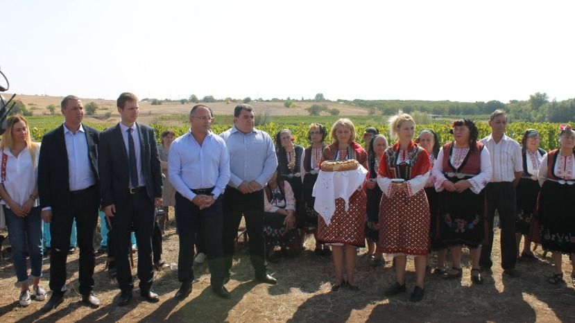 Министр земледелия Болгарии открыл сезон сбора винограда