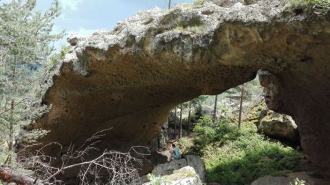 Уникални вкаменелости бяха открити близо до границата ни с Гърция